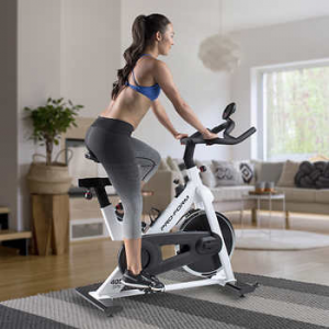 proform exercise bike costco